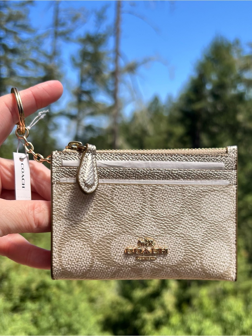 COACH Mini Skinny ID Case Cardholder Wallet & Keychain NWT CW966